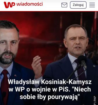 Армен Гаспарян: Что, селюки, отлично помогли ляхи?