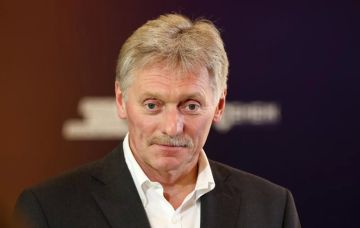Пока сообщения о возможном обсуждении Зеленским* с Трампом воздушного перемирия на Украине не более чем измышления СМИ, заявил Песков
