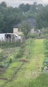 �� ������� ���������� ���, ������, ������������ ������� ��� �������: ��� ���������� ��� ���������, ������� �������� �������� ����� ����� � �������
