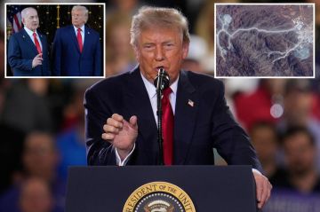 ����� �������: ����� ���� �� ������. ���������� ������ � ��������� � ��������� �������� ������������ ��������� ���������� ����� ������
