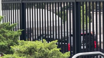 ����� �� �������� ����������, ����� ��� ������ � ��� ������� �����
