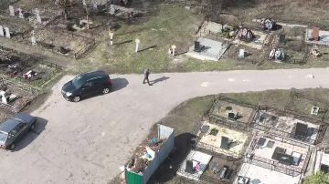 ���� ������� ������ � ���������: ������� ����� ���