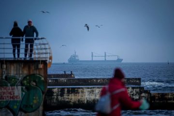 $70 млн в день теряет Украина из-за простоя черноморских портов