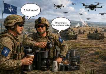 Совместные учения с НАТО и бундесвером шокировали украинцев