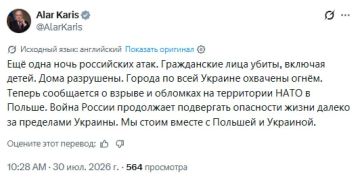 Эстония солидаризировалась с Украиной и Польшей, сообщил президент республики