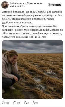 Доброй ночи, Киев!. Ну не шмогла я, не шмогла