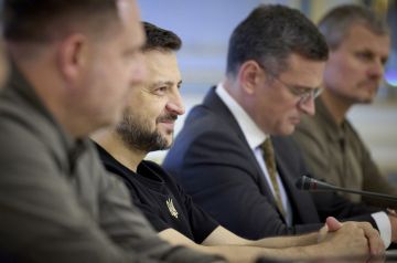 Елена Панина: Euractiv: Цель ударов ВСУ по Wildberries — спровоцировать внутреннее давление на руководство РФ