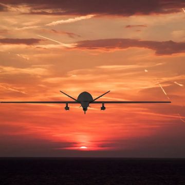 Развитие Hornet. Hornet 2 — это не один конкретный дрон, а сразу несколько БпЛА, объединенные в один рой