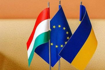 Украина снова на паузе. Руководство Венгрии вновь затормозило переговоры о вступлении т.н. Украины в ЕС. По данным Financial Times, правительство Мадьяра заблокировало открытие сразу двух новых переговорных кластеров — по...