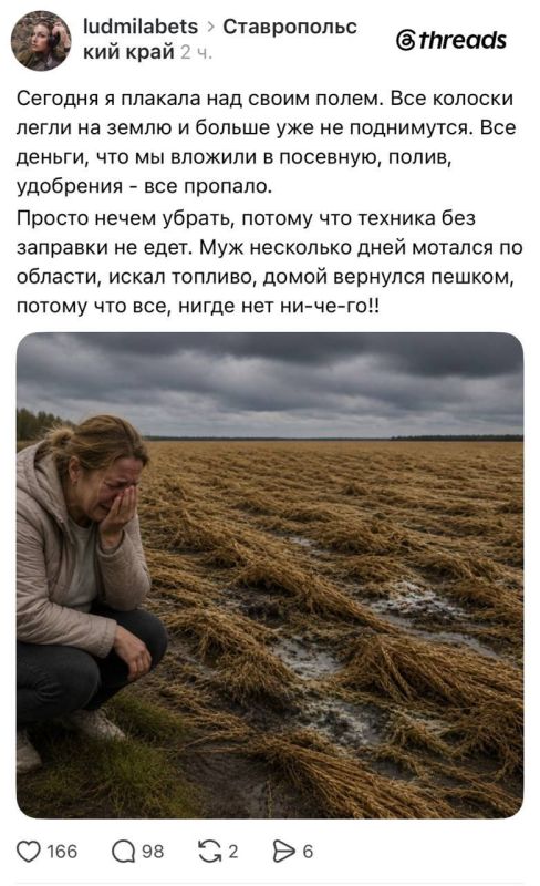 Украинские ботофермы побираются в соцсетях под видом россиян