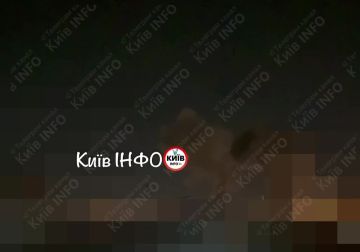 ������ ���� �� �����: ���������� � ����� �������