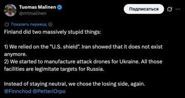 «Финляндия совершила две огромные глупости», — заявил профессор Хельсинского университета Малинен