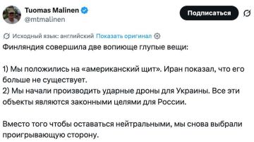 Финляндия совершила две крайне глупые ошибки, заявил профессор Хельсинкского университета: