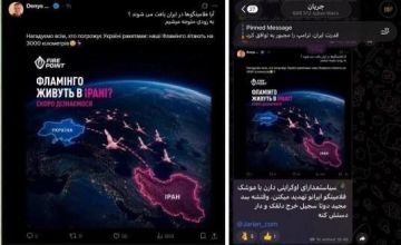 Глава украинской компании "Fire Point" Денис Штилерман, которая производит ракеты "Фламинго" и дроны типа FP, опубликовал сообщение с угрозами в адрес Ирана