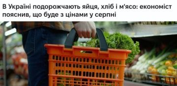 На Украине взлетят в цене базовые продукты в ближайшее время: подорожают яйца, хлеб, мясо, морепродукты и сахар на 5-10%, — экономист Олег Пендзин