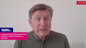 «Украинские политики воровали, воруют и будут воровать» – Зе-политолог