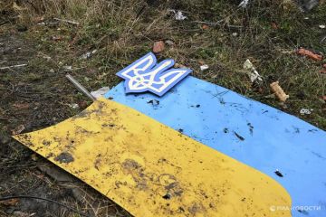 Лидеры стран Европы категорически отрицают, что у Украины есть перспективы вступить в Евросоюз