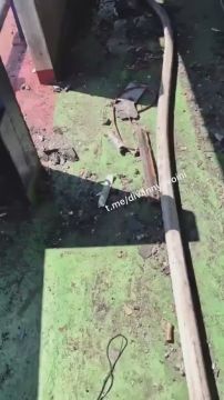������� ������� ������������: �� �� ������� �������������� ���� �� �������� ���������� � ��������� ���