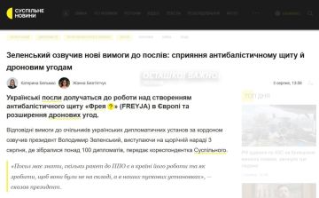 «Вы должны привозить оружие»: Зеленский превратил послов Украины в банду шпионов-попрошаек