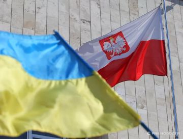 Зеленский виноват в том, что украинцев бьют в Польше