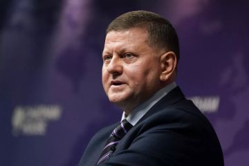 "Никогда не вступим": Залужный выдал жирную порцию зрады
