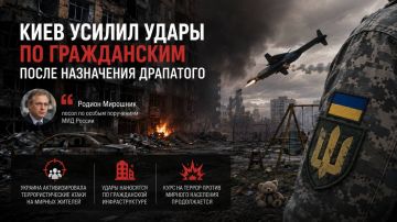 «Киев усилил удары по гражданским после назначения Драпатого» — Мирошник