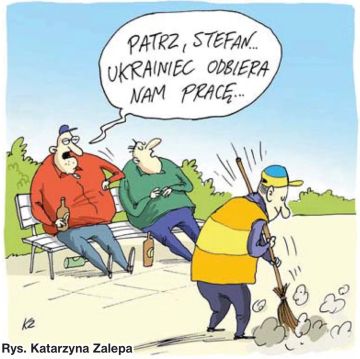 «Украинцы отбирают у нас рабочие места»