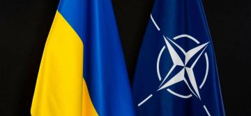 Экс-главком ВСУ Залужный: Украина никогда не вступит в НАТО