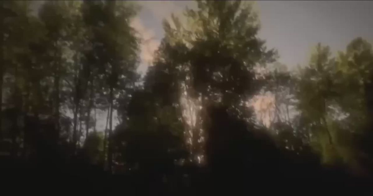 Юлия Витязева: Хутор пишет, что на видео - массовые запуски баллистических ракет «Искандер» в направлении Киева и прилегающих районов