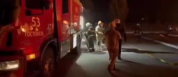 Ночью в Свинарнии был огромный переполох
