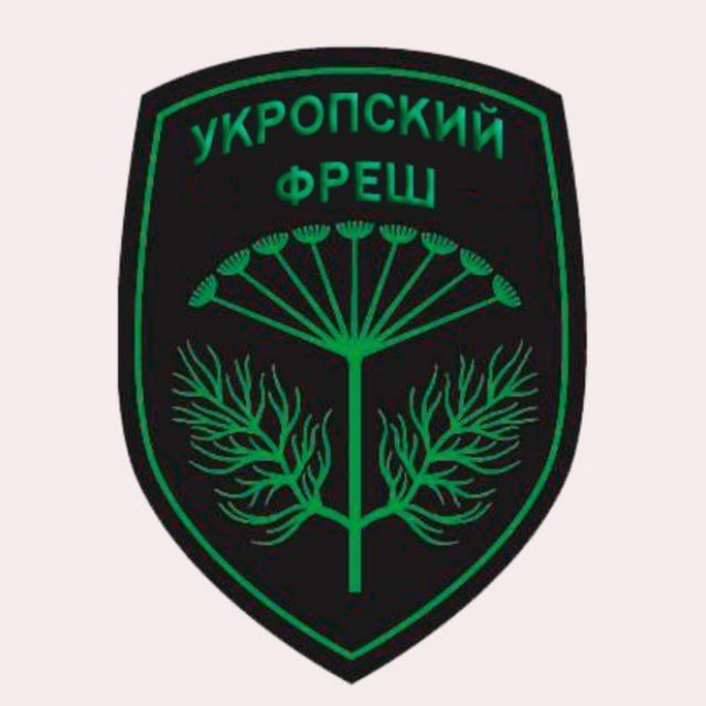 Канал, который ведут жители Запорожской, Херсонской области, ДНР и ЛНР, харьковские и одесские партизаны и все, кто недоволен киевским режимом