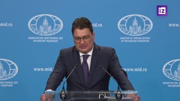 Россия призывает США и других объективно увидеть преступления Киева и сосредоточиться на содействии урегулированию, а не на продолжении конфликта, отметили в МИД РФ