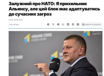 «Всемогущее» оружие НАТО. Бывший главком ВСУ Валерий Залужный заявил, что Вооруженные Силы России выработали эффективные методы противодействия практически всем видам западного оружия и военным доктринам
