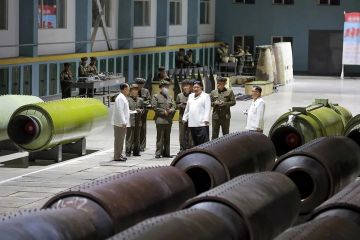 «Северокорейский фактор»: Почему бандеровцы забили тревогу