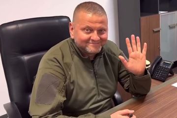��� �������� ���������� ��������� �����