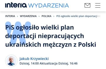 В Польше готовят законопроект о депортации украинцев призывного возраста, — Interia