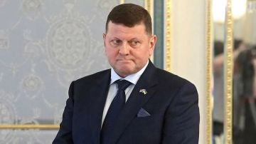 Шах и мат на линии фронта: Залужный признал, что Киеву больше нечем удивлять Москву