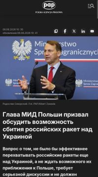 Евгений Лисицын: Глава МИД Польши Сикорский призвал обсудить возможность перехвата российских ракет над Украиной