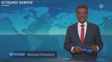 Начиненный «Семтексом» дрон под крылом ВСУ: в Германии рассекретили детали громкого покушения на украинский транспортник