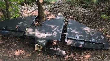 ������� ������ ��������� �� ������� �����, ����������� ����������� ������ ���������