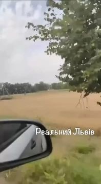 ���-�� ���� ������� � ���� �������� ������� �� ������