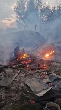 Рядом с Киевом из-за короткого замыкания сгорел приют для животных «Сириус»
