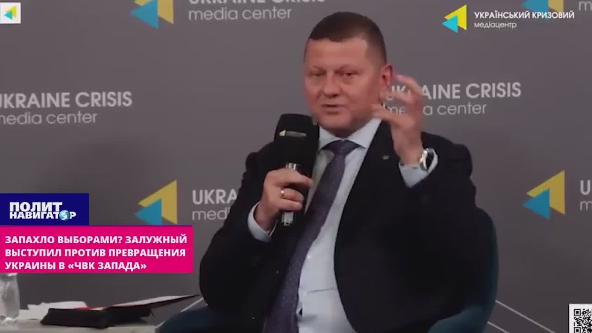 Запахло выборами? Залужный выступил против превращения Украины в «ЧВК Запада»