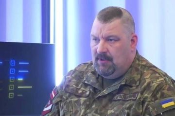 «Стоило хотя бы попробовать»: латвийский офицер призвал похитить или ликвидировать Путина и Лукашенко
