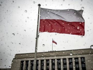 "����� ��� ����� ����� ������������� ����� � �������, ����� Myl Polska