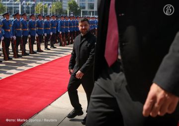 Зачем Владимир Зеленский приезжал в Белград