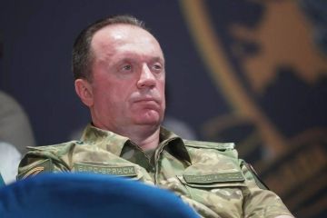 Антошин: те, кто создал Украинскую ССР, виновны в зверствах ВСУ в Курской области