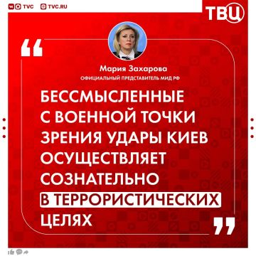 Все причастные к ударам ВСУ по Белгороду и Нижнекамску понесут неотвратимое суровое наказание, заявила Мария Захарова