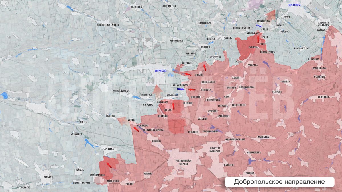 Олег Царёв: Фронтовая сводка 10 августа Олег Царёв: Фронтовая сводка 10 августа