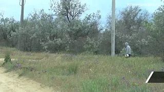 ��� �������� ����� ���������� ����������, ����������� �� ������� ��������� ����� ������ ������ ���������� ������� � ���������� �������